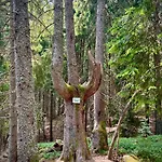 Relax Aпартаменти, смолянски езера, венера, к-с маунтин Smolyan