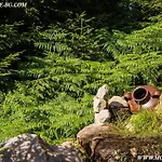 Relax Aпартаменти, смолянски езера, венера, к-с маунтин * Smolyan