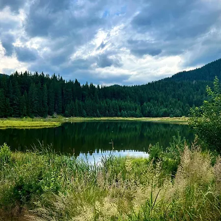 Relax Aпартаменти, смолянски езера, комплекс Mountain Daire Paşmaklı