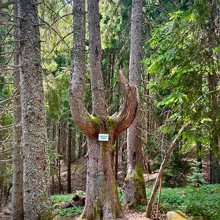 Relax Aпартаменти, смолянски езера, комплекс Mountain Paşmaklı