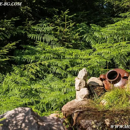 Relax Aпартаменти, смолянски езера, венера, к-с маунтин * Szmoljan