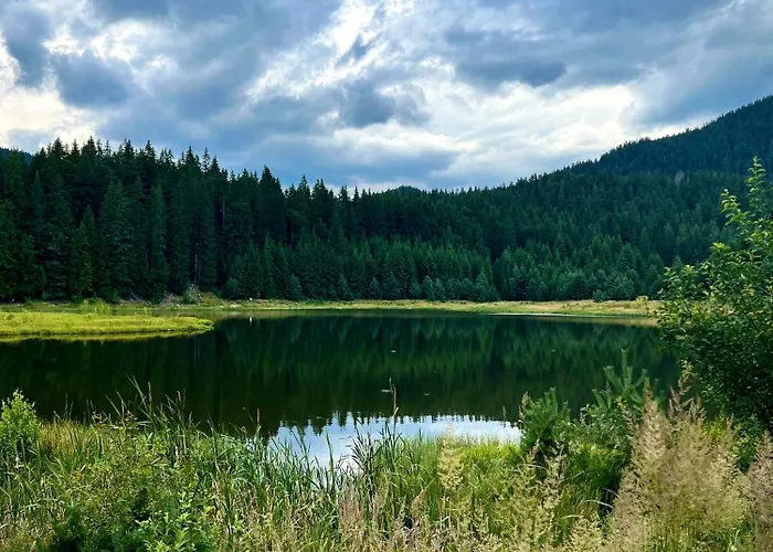 Relax Aпартаменти, смолянски езера, венера, к-с маунтин Appartamento Smoljan