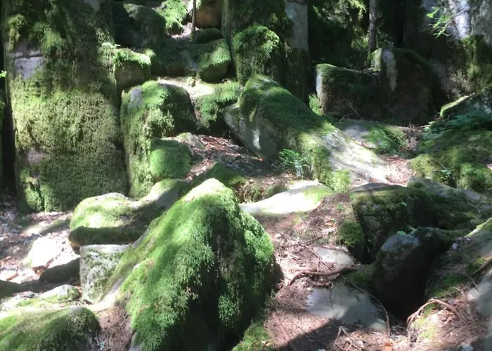 Relax Aпартаменти, смолянски езера, венера, к-с маунтин Appartamento Smoljan