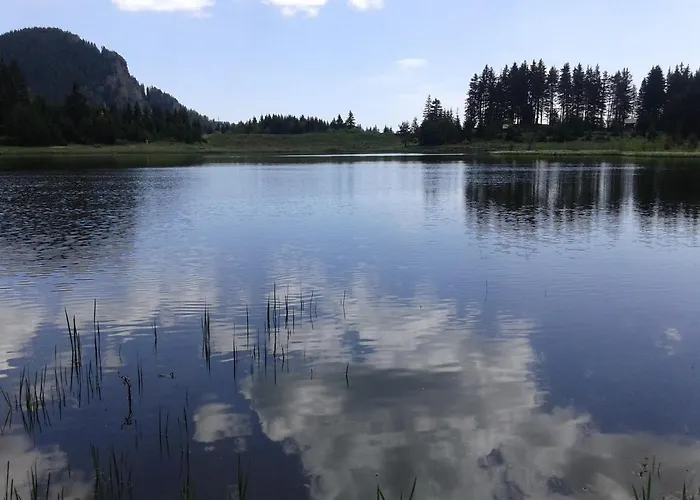 Relax Aпартаменти, смолянски езера, венера, к-с маунтин Smoljan